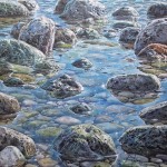 MARE NOSTRUM: THE ORIGINAL