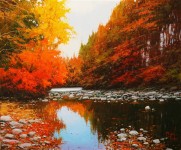 WELCOME MIQUEL PEIDRO!